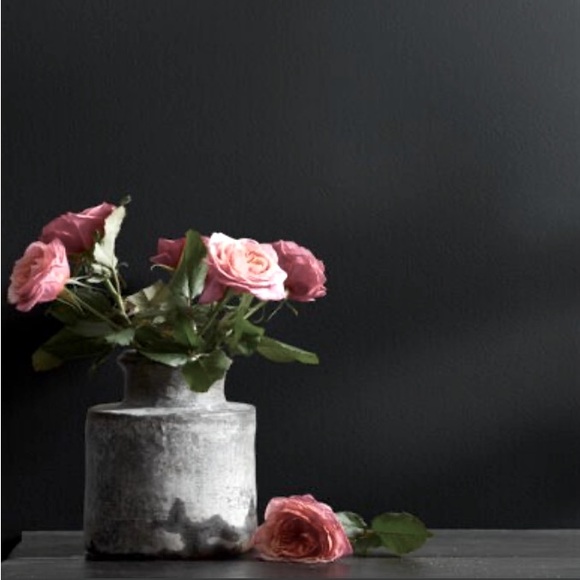 Meet your Posher, Roxane - Picture 1 of 1